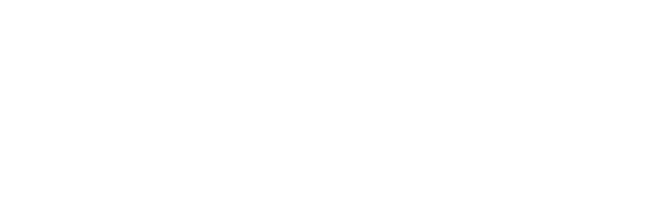 VIPetPlan_BySnout_website